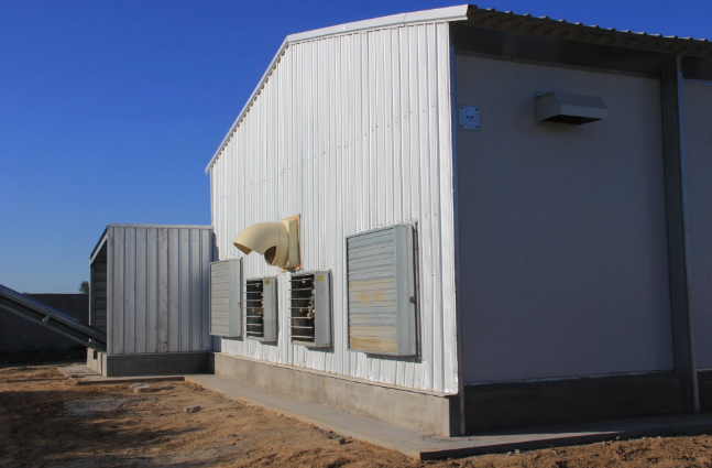 Maison d'élevage économique et pratique de la structure en acier