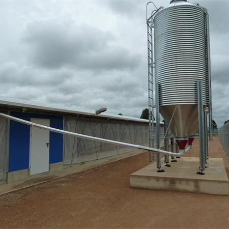 Structure en acier préfabriquée maison d'élevage pour le gril