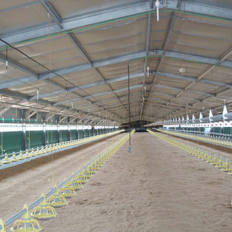 Élevage Maison d'agriculture pour les poules de pose de cage