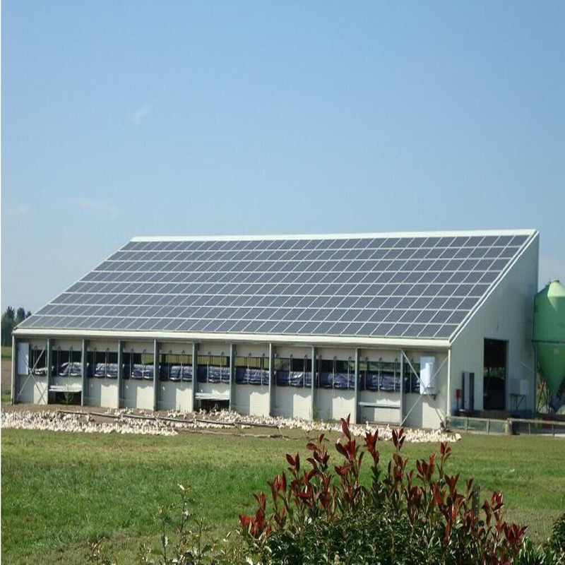 NOUVELLE Maison d'élevage d'énergie d'énergie d'énergie 