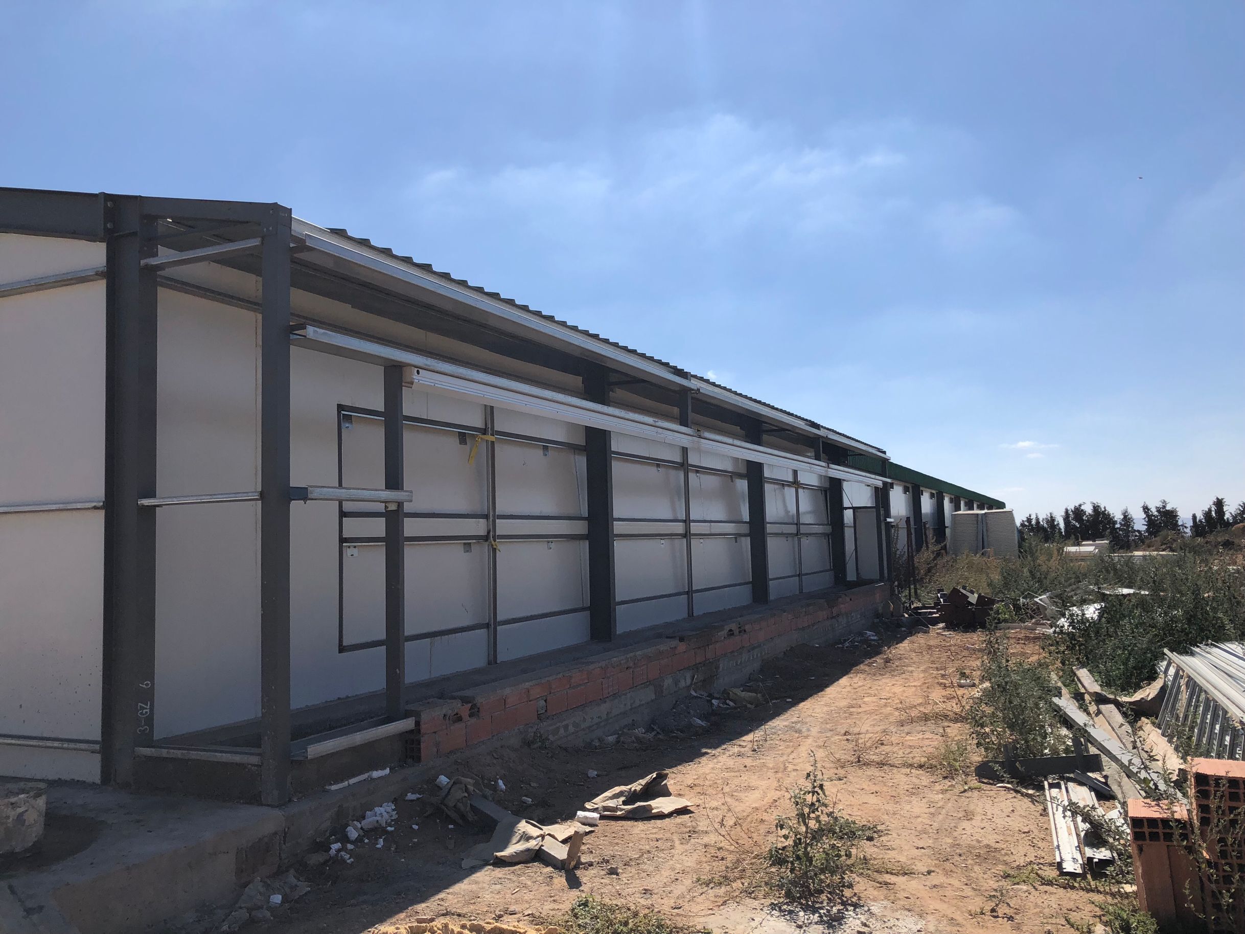 Poulet Maison en Algérie