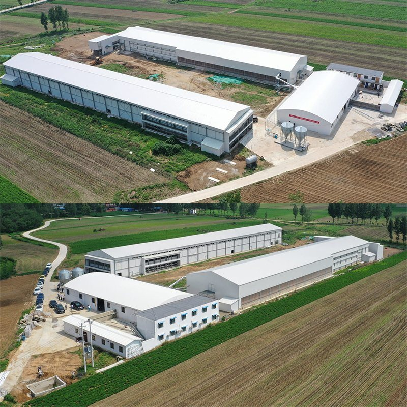 Atelier de structure en acier d'incubateur de couchage de poulet préfabriqué en usine