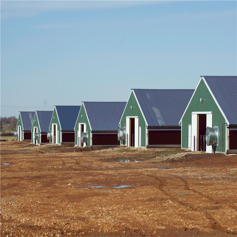 Maison d'agriculture complète du bétail avec équipement de poulet