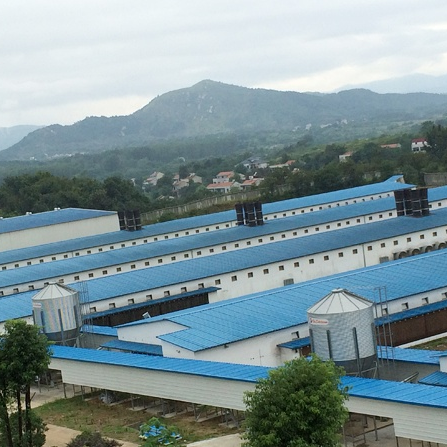 Maison d'agriculture préfabriale en acier avec salle de contrôle 