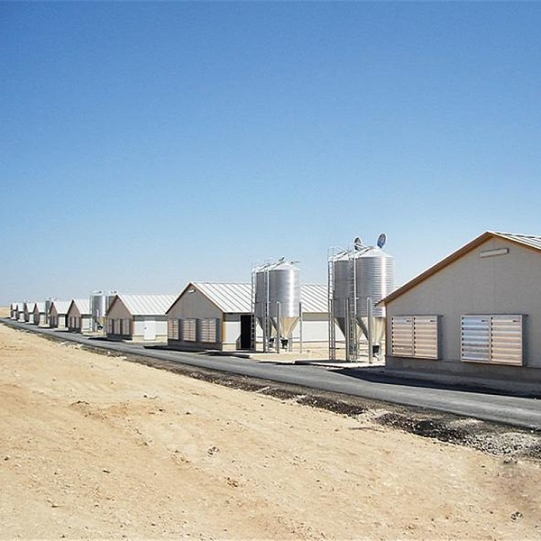 Structure en acier préfabriquée maison d'élevage pour le gril