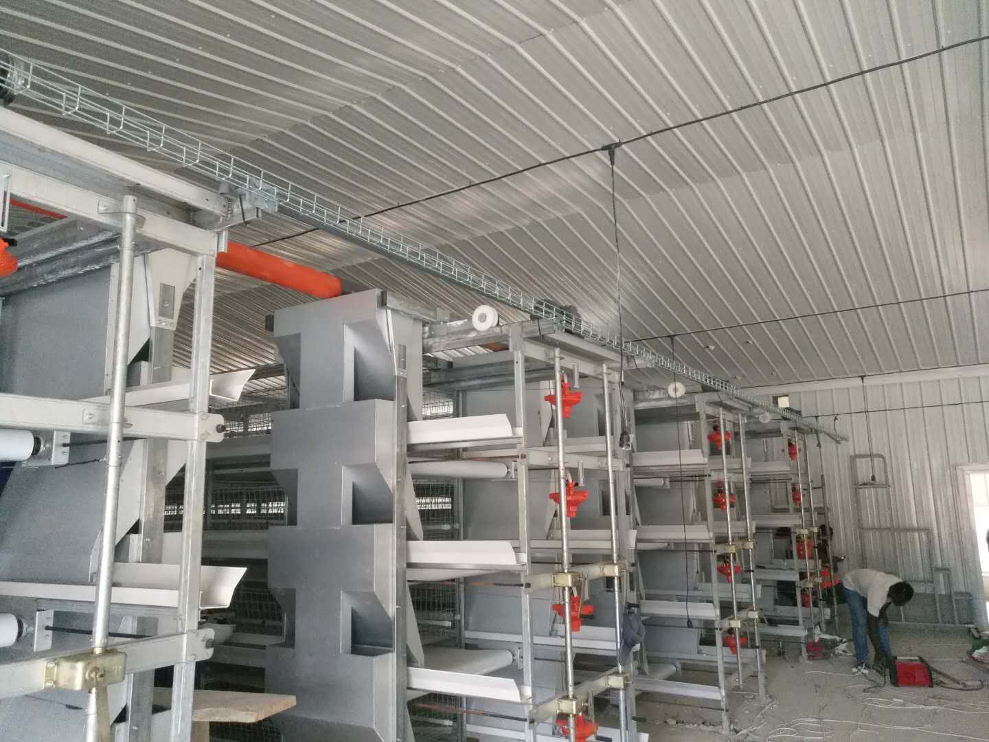 Hi-Q Poultry Equipmen Chicken Broiler Cage 